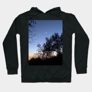 Syzygy Hoodie